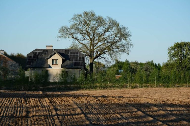 pexels-szafran-33265641 (1)